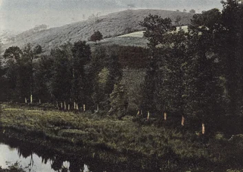 Saint-Herbor, The Elez